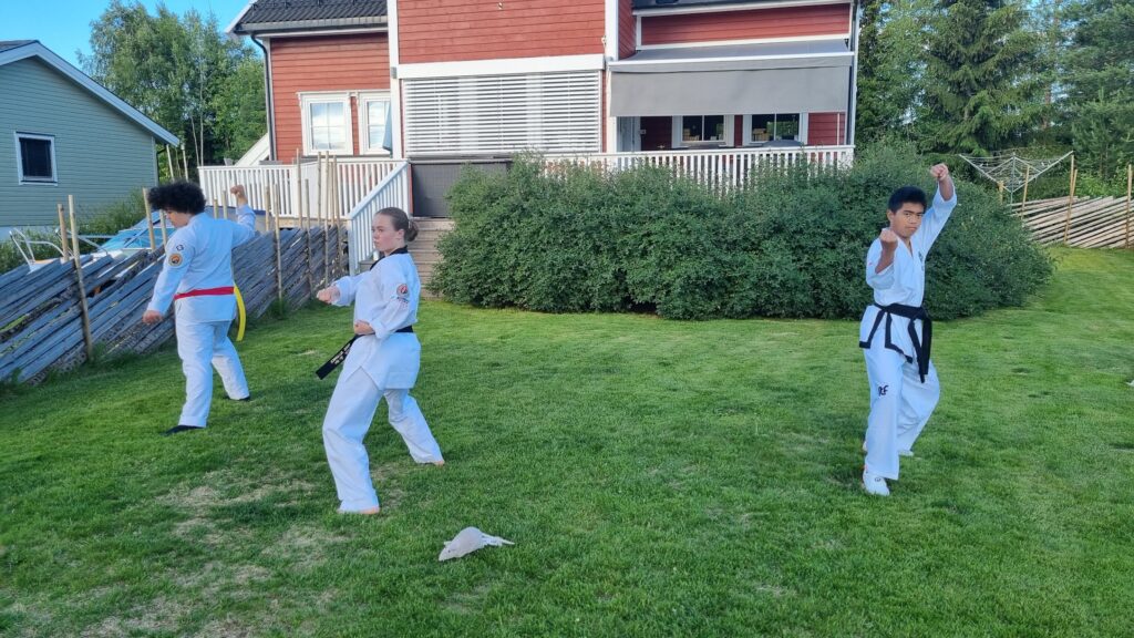 Vi øver grunnteknikker til taegeuk pal jang, poomsae keumgang og poomsae taebek